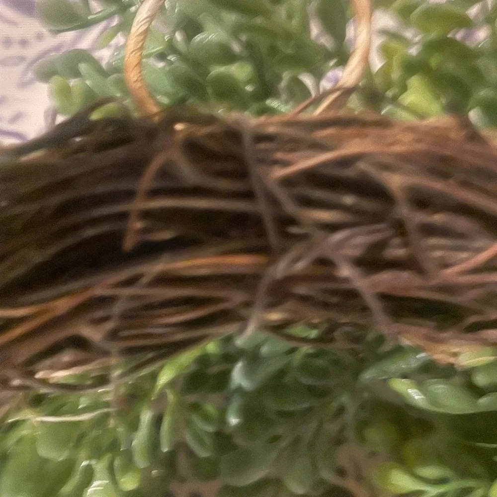 Set of 2 Artificial boxwood lifelike Wreaths 12” round w/ hanger